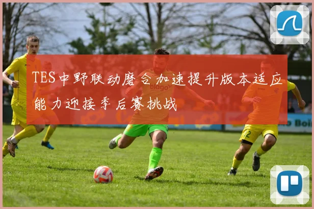 TES中野联动磨合加速提升版本适应能力迎接季后赛挑战